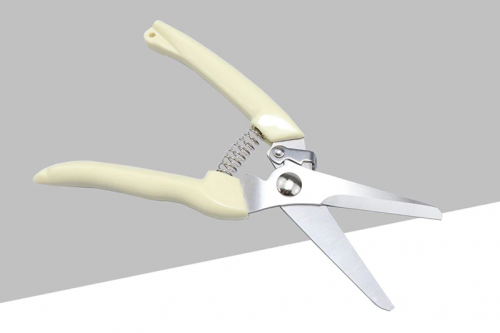 مقص تقليم مستقيم