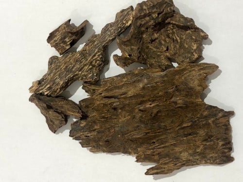 جنوب تايلند