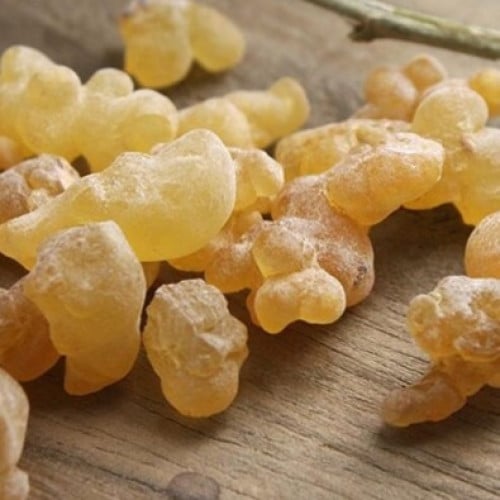 علك لبان ذكر ( مر )