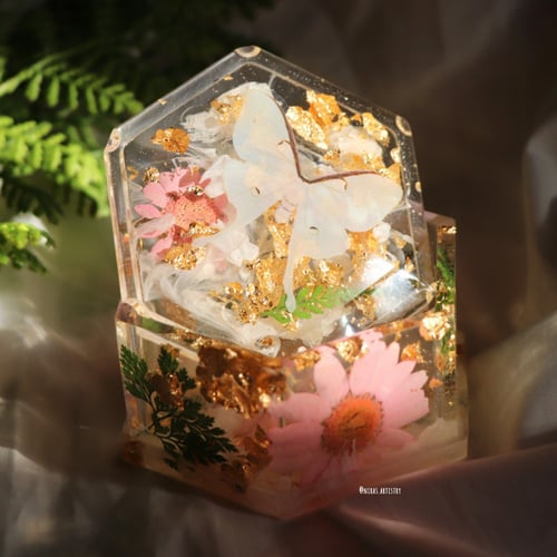 white moth box علبه