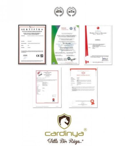 مرتبة VIP اكسلوسف