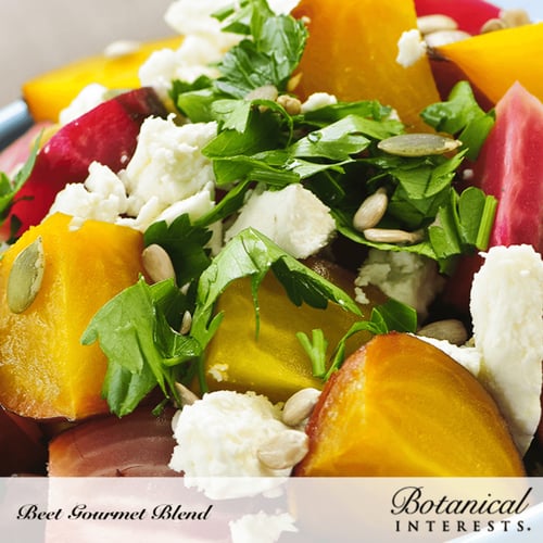 بذور شمندر الذواقة الملون - Gourmet Blend Beet See...