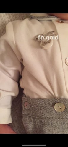 بروش صدف الحصان مطلي فضه المقاس الوسط