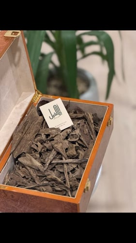 موروكي حي دبل