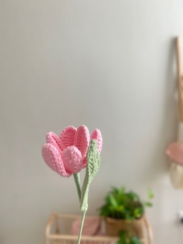 وردة توليب وردي