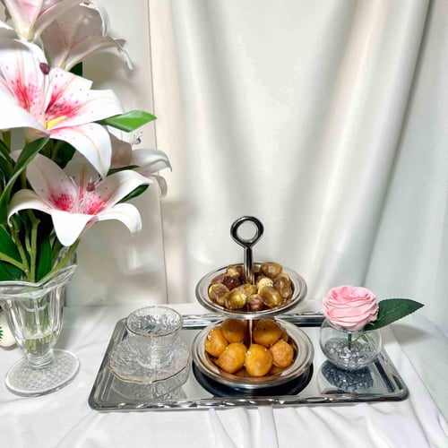 ستاند دورين فضي