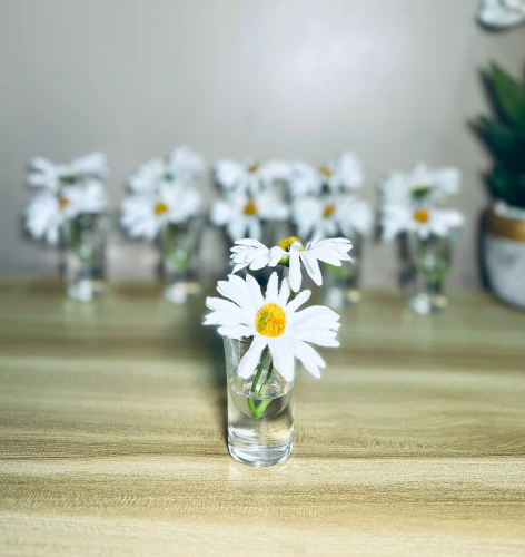 فازات صغيره زجاج