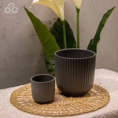 مركن لونا رمادي