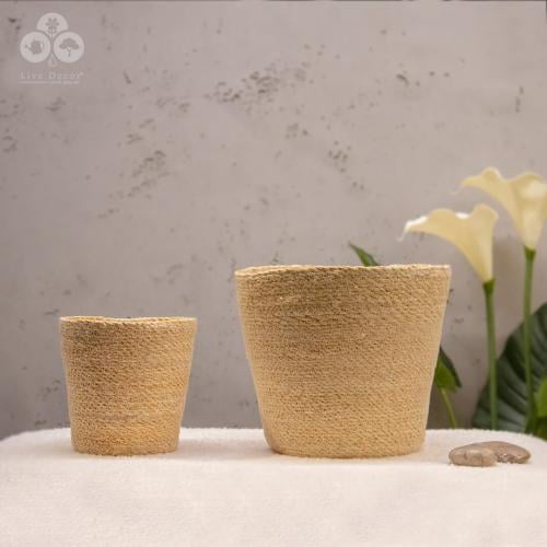 مركن بوهيمي