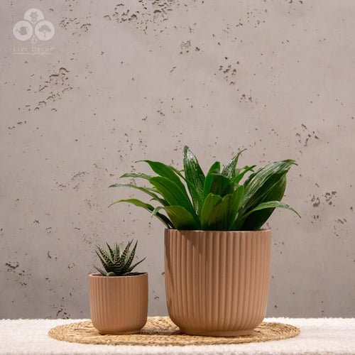 مركن لونا زهري