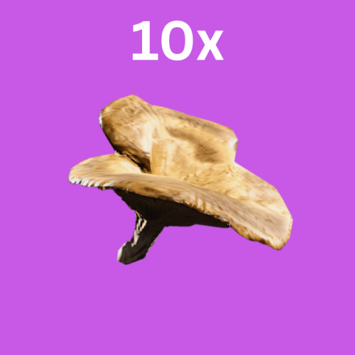 10 حبات مشروم - Mushroom