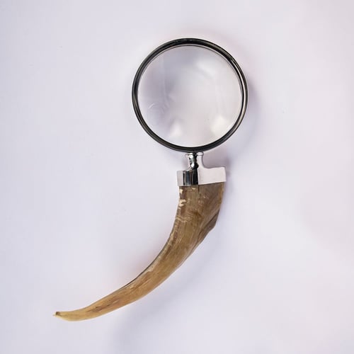 فاتح أظرف / عدسة مكبرة من العاج