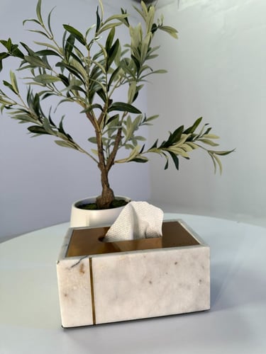 علبة مناديل رخام أبيض معرق وستيل ذهبي