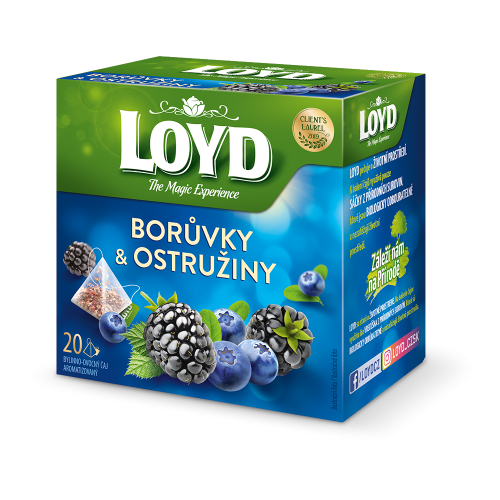 شاي لويد بالتوت الازرق والتوت الأسود، 20 كيس × 2 ج...