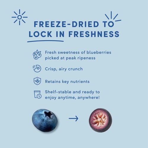 ترو فرو توت الأزرق مجفف بالتجميد مع كريمة – Tru Fr...