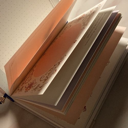 دفتر الفراشة