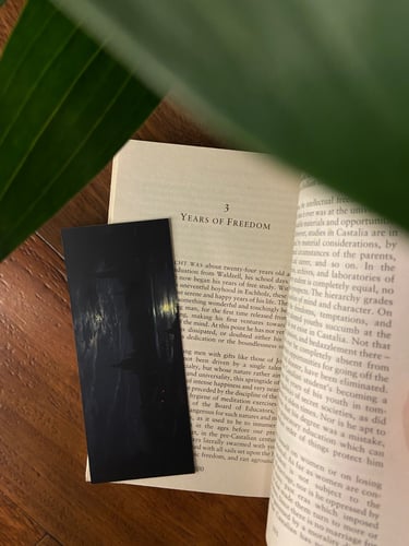 View of Dresden by Moonlight