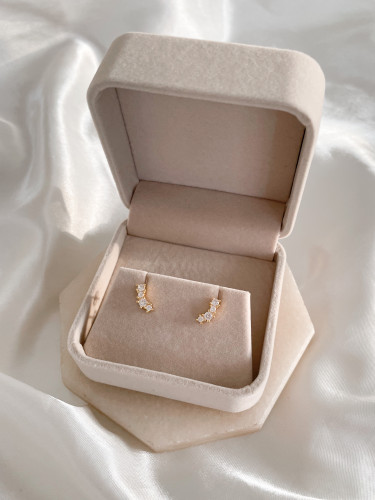 Charlotte Earrings
