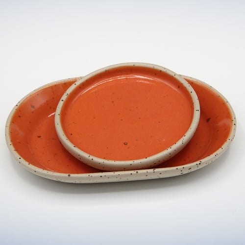 طبق البرتقالي المُنقط حجم صغير