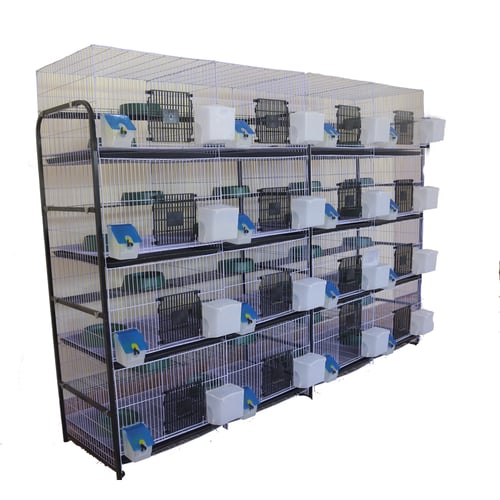 محكر حمام 16 عين