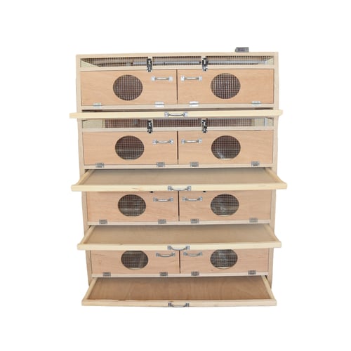 حاضنة فروخ الكترونية 4 دور خيارات متعددة