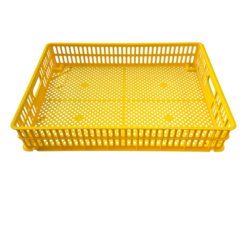 سلة فقاسات صفراء وطني