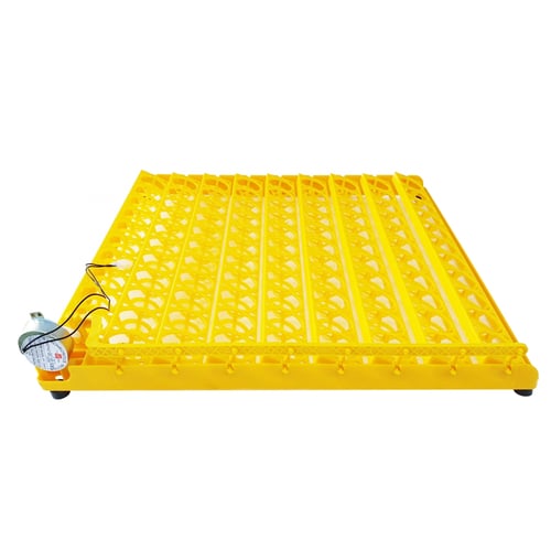 فقاسه 98 بيضه