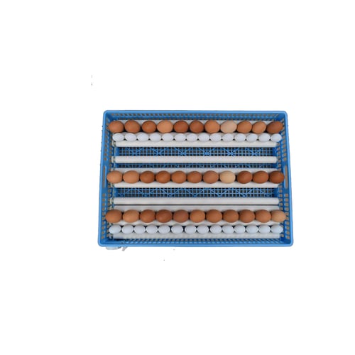 فقاسة الشاملة بلس 1000 بيضة