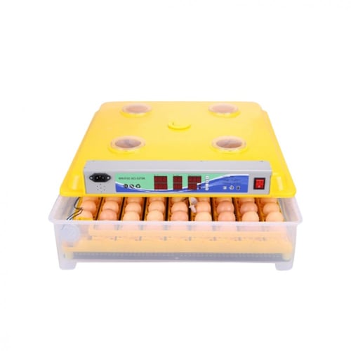 فقاسه 98 بيضه