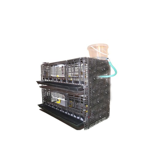 حاضنة فروخ بلاستيك دورين