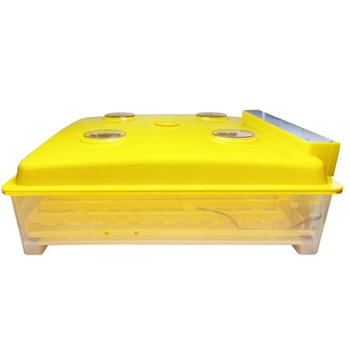 فقاسه 98 بيضه