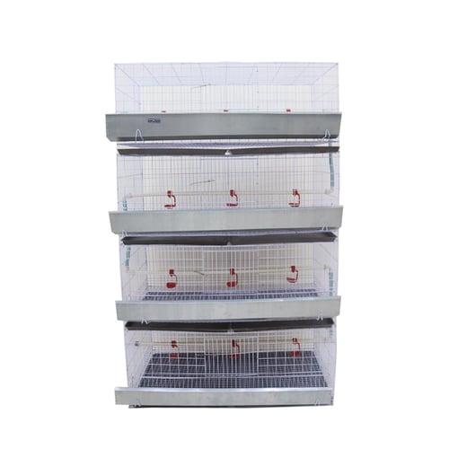 بطارية تسمين