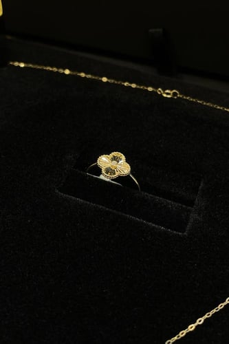 طقم فان لوف