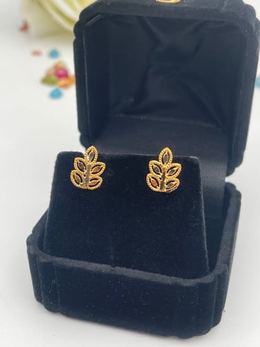 حلق غصن الزيتون