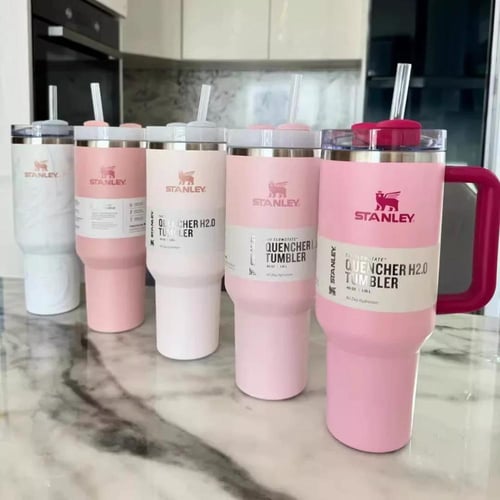 Stanley Citron IceFlow Stainless Steel Water Bottl...