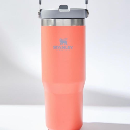 Stanley Citron IceFlow Stainless Steel Water Bottl...