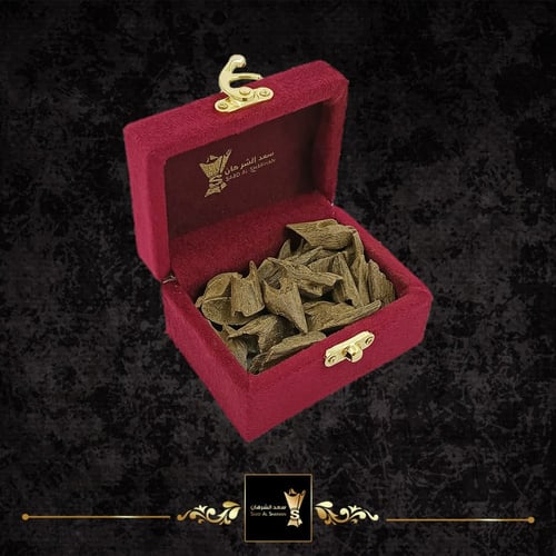 عود مروكي AP2 من سعد الشرهان