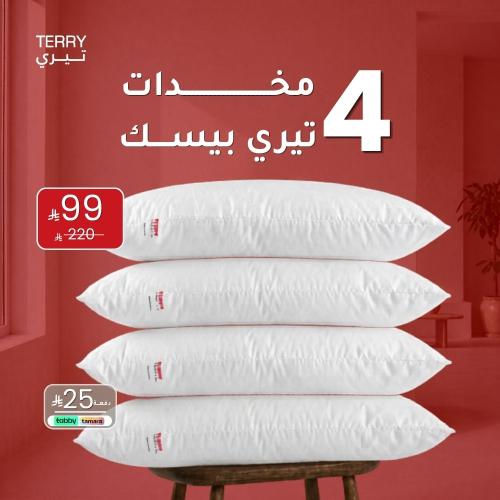 بكج 4 مخدات تيري بيسك | Basic
