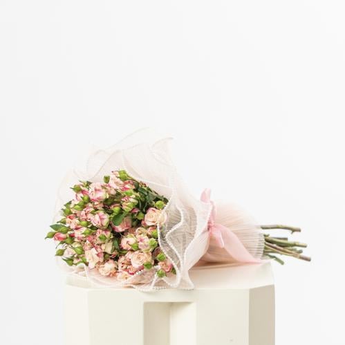 ورد Ra ( الرياض)