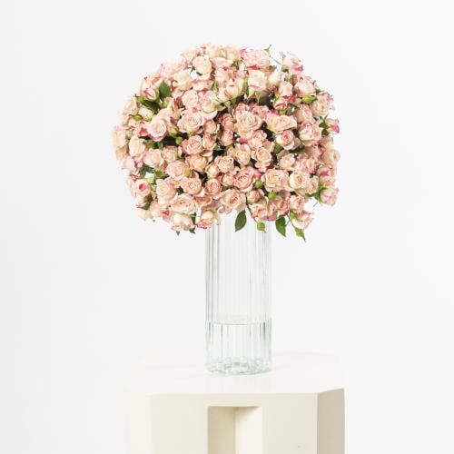 فازه ( الرياض فقط )