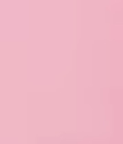 ورد جوري ( الرياض )