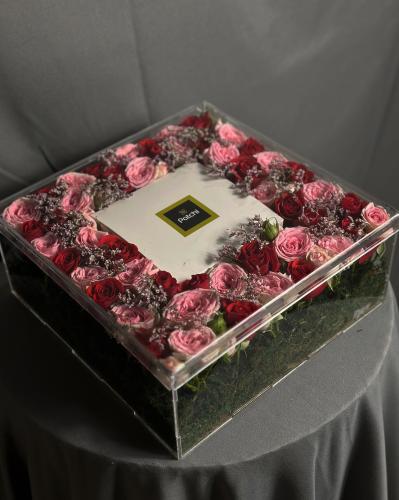 صندوق باتشي 500غ