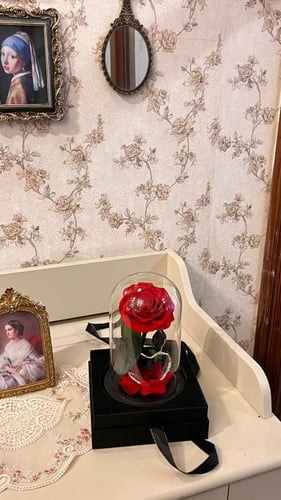 الورد الدايم لون أحمر