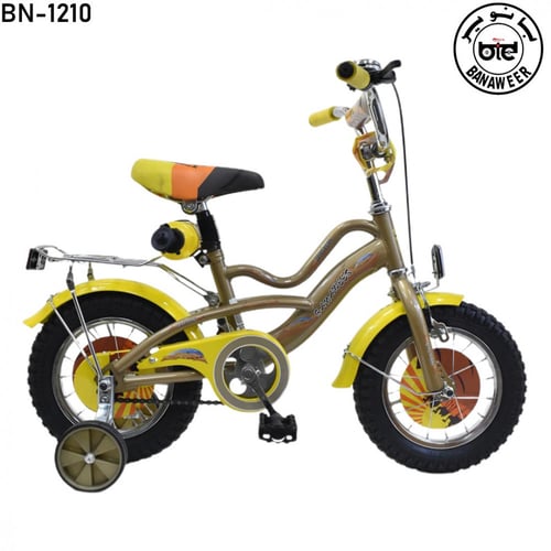 دراجة سفينة الصحراء مقاس 12