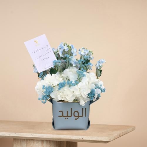 بوكس لامودا جلد