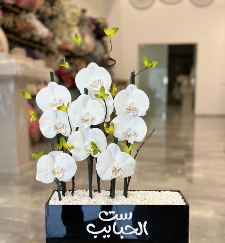 لافوليلا هاند