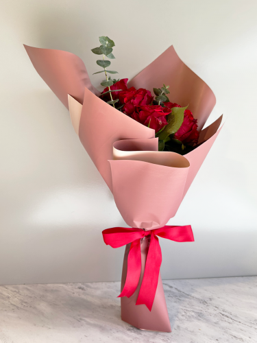 دونا | Dona