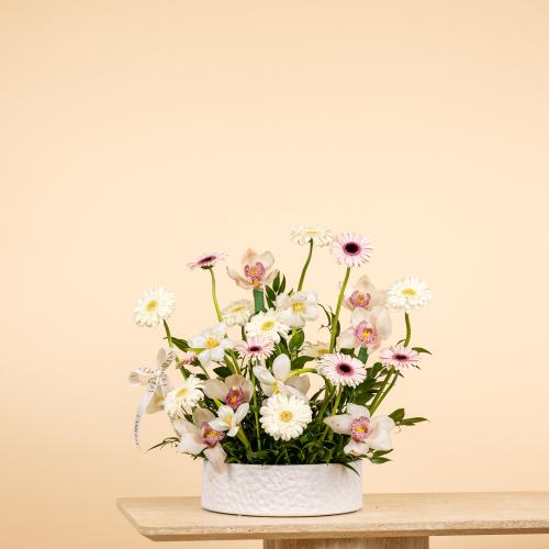 Gerbera & Cymbidium Meadow Bowl