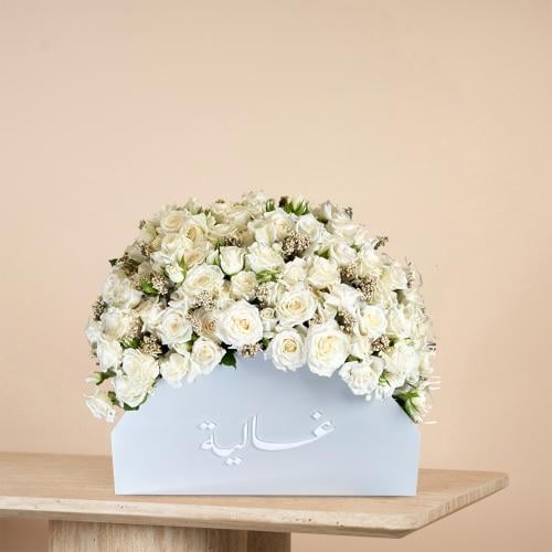 صندوق لامودا الفاخر
