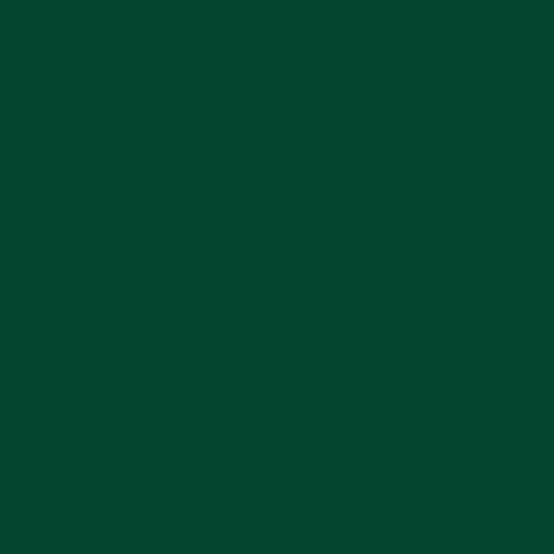 خلفية تصوير رول ورق اخضر غامق كبير - اكسسوارات تصو...